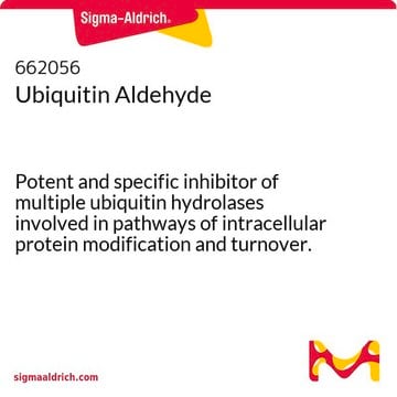 泛素醛 Potent and specific inhibitor of multiple ubiquitin hydrolases involved in pathways of intracellular protein modification and turnover.