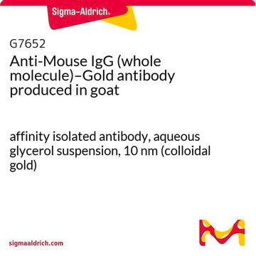 Anti-Mouse IgG (whole molecule)–Gold antibody produced in goat affinity isolated antibody, aqueous glycerol suspension, 10&#160;nm (colloidal gold)