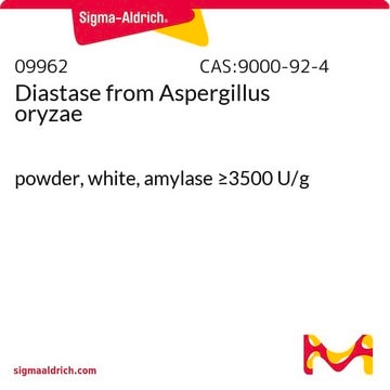 Diastase aus Aspergillus oryzae powder, white, amylase &#8805;3500&#160;U/g