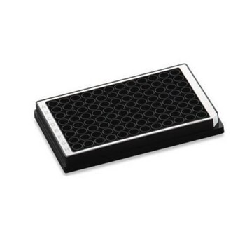 Eppendorf&#174; Microplate 96/V-PP, 96 wells white polypropylene, conical bottom black wells, PCR clean, pkg of 80&#160;ea