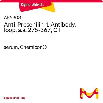 Anticuerpo anti-presenilina-1, bucle, a.a. 275-367, CT serum, Chemicon&#174;