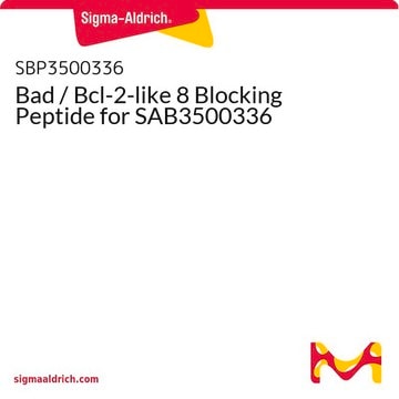 Bad / Bcl-2-like 8 Blocking Peptide for SAB3500336