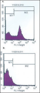 Monoclonal Anti-C10orf54 antibody produced in mouse clone ORF.4, purified from hybridoma cell culture