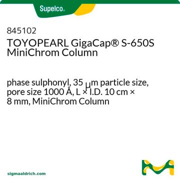 TOYOPEARL GigaCap&#174; S-650S MiniChrom Column phase sulphonyl, 35&#160;&#956;m particle size, pore size 1000&#160;Å, L × I.D. 10&#160;cm × 8&#160;mm, MiniChrom Column