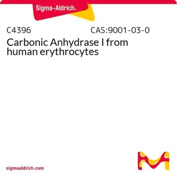 Carbonic Anhydrase I from human erythrocytes