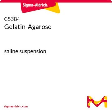 Gelatin-Agarose saline suspension