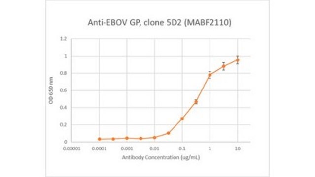 Anti-EBOV GP Antibody, clone 5D2 clone 5D2, from mouse