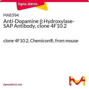 Anti-Dopamine &#946; Hydroxylase-SAP Antibody, clone 4F10.2 clone 4F10.2, Chemicon&#174;, from mouse