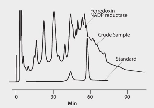 HPLC Analysis of Ferredoxin NADP Reductase on TSKgel&#174; Phenyl-5PW application for HPLC