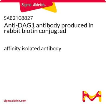 Anti-DAG1 antibody produced in rabbit biotin conjugted affinity isolated antibody