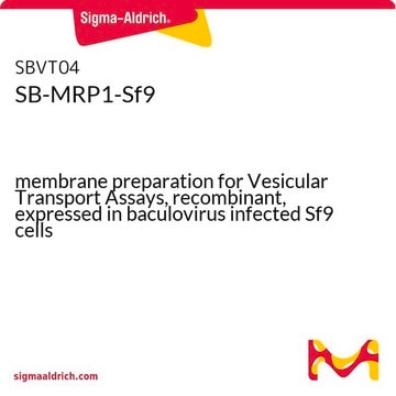 SB-MRP1-Sf9 membrane preparation for Vesicular Transport Assays, recombinant, expressed in baculovirus infected Sf9 cells