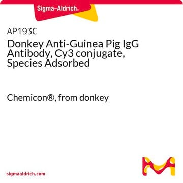 Anticorpo anti-IgG di cavia prodotto in asino, coniugato con Cy3, preadsorbito Chemicon&#174;, from donkey