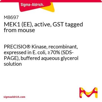 MEK1 (EE), active, GST tagged from mouse PRECISIO&#174; Kinase, recombinant, expressed in E. coli, &#8805;70% (SDS-PAGE), buffered aqueous glycerol solution