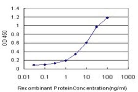 Monoclonal Anti-CYP19A1 antibody produced in mouse clone 2B6, purified immunoglobulin, buffered aqueous solution