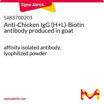 Anti-Chicken IgG (H+L)-Biotin antibody produced in goat affinity isolated antibody, lyophilized powder