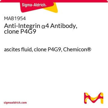 Anti-Integrin &#945;4 Antibody, clone P4G9 ascites fluid, clone P4G9, Chemicon&#174;