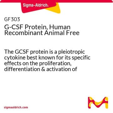 G-CSF, protéine humaine recombinante, sans composés d'origine animale The GCSF protein is a pleiotropic cytokine best known for its specific effects on the proliferation, differentiation &amp; activation of hematopoietic cells of the neutrophilic granulocyte lineage. Manufactured using all non-animal reagents.