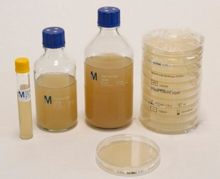 Agar do liczenia płytek Ready-to-use 90mm plates for the enumeration of Total Viable count in water, food and Beverages