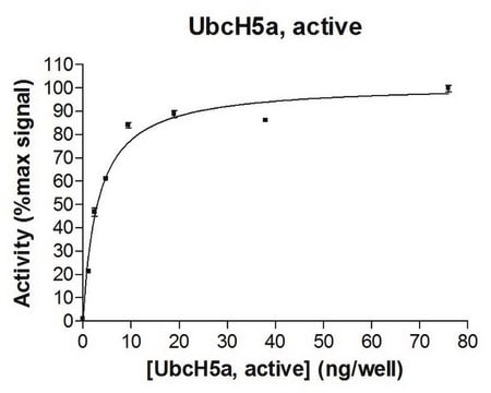 UbcH5a Protein, active, 50 &#181;g Active, full length, recombinant human UbcH5a. N-terminal HA, 6His-tagged. For use in Enzyme Assays. Functions as an E2 enzyme in ubiquitination assays.