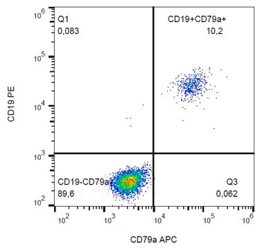 Monoclonal Anti-CD79a APC produced in mouse