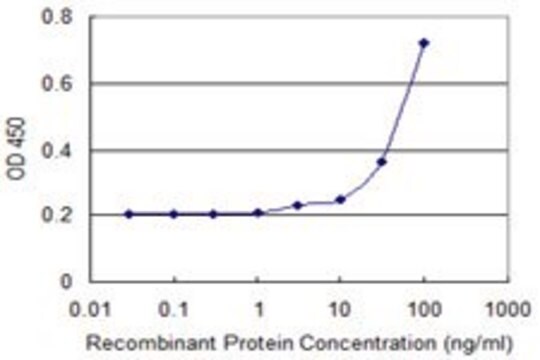 Monoclonal Anti-WSB1 antibody produced in mouse clone 3E10, purified immunoglobulin, buffered aqueous solution