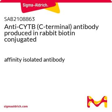 Anti-CYTB (C-terminal) antibody produced in rabbit biotin conjugated affinity isolated antibody