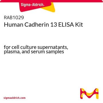 Human Cadherin 13 ELISA Kit for cell culture supernatants, plasma, and serum samples