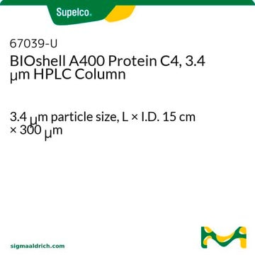 BIOshell A400 Protein C4, 3.4 &#956;m HPLC Column 3.4&#160;&#956;m particle size, L × I.D. 15&#160;cm × 300&#160;&#956;m