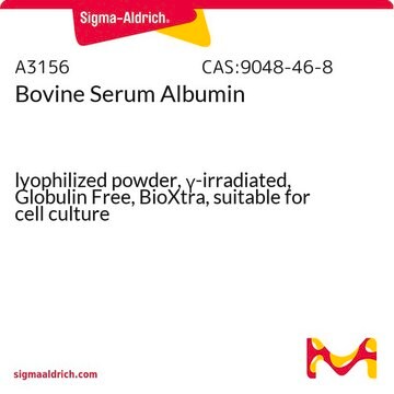 Seroalbúmina bovina lyophilized powder, &#947;-irradiated, Globulin Free, BioXtra, suitable for cell culture