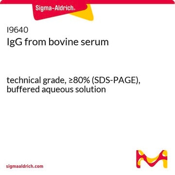 IgG aus Rinderserum technical grade, &#8805;80% (SDS-PAGE), buffered aqueous solution