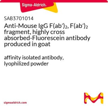 Anti-Mouse IgG F(ab&#8242;)2, F(ab&#8242;)2 fragment, highly cross absorbed-Fluorescein antibody produced in goat affinity isolated antibody, lyophilized powder