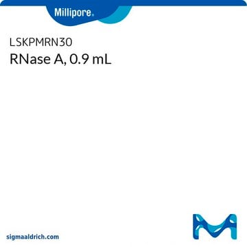 RNase A, 0.9 mL