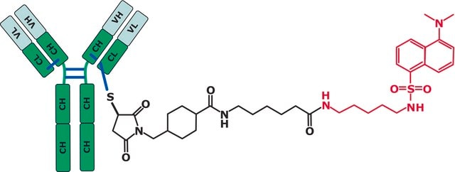 SigmaMAb 抗体薬物複合体（ADC）ミミック Antibody Cysteine-Fluorophore Conjugate Standard