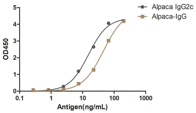 Rabbit Anti-Alpaca IgG2c Alpaca Heavy chain only Antibody recombinant Alpaca(VHH) Nano antibody