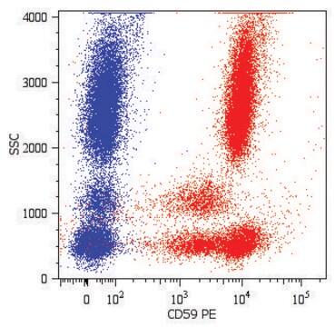 Monoclonal Anti-CD59-PE antibody produced in mouse clone MEM-43, purified immunoglobulin, buffered aqueous solution