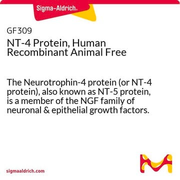 NT-4 Protein, Human Recombinant Animal Free The Neurotrophin-4 protein (or NT-4 protein), also known as NT-5 protein, is a member of the NGF family of neuronal &amp; epithelial growth factors.