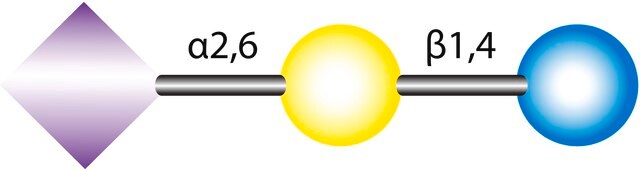 6&#8242;-Sialyllactose sodium salt from bovine milk or colostrum, &#8805;97% (HPLC)