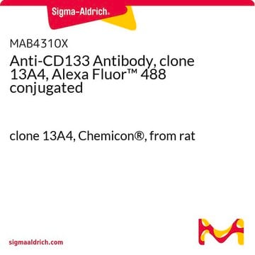 抗-CD133 抗体（克隆13A4，Alexa Fluor&#8482;488偶联） clone 13A4, Chemicon&#174;, from rat