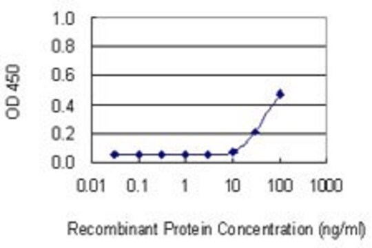 Monoclonal Anti-FBXO40 antibody produced in mouse clone 2E5, purified immunoglobulin, buffered aqueous solution