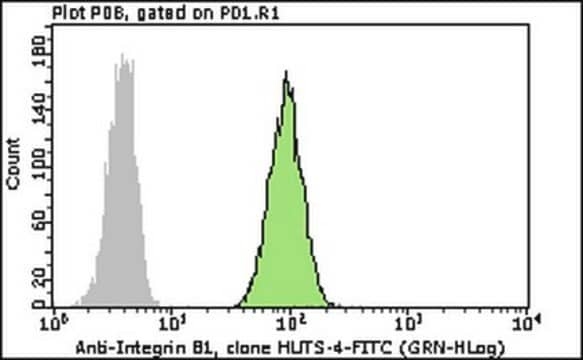 Milli-Mark&#174; Anti-Integrin-&#946;1-FITC-Antikörper, aktiviert, Klon&nbsp;HUTS-4 clone HUTS-4, Milli-Mark&#174;, from mouse