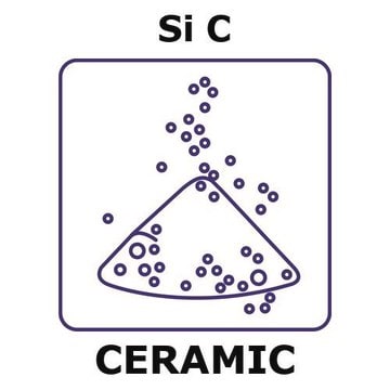 Silicon carbide powder, 75 max. part. size (micron), weight 50&#160;g, purity 98.7%