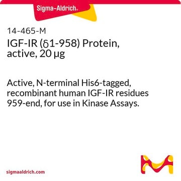 IGF-IR (&#948;1-958) Protein, active, 20 &#181;g Active, N-terminal His6-tagged, recombinant human IGF-IR residues 959-end, for use in Kinase Assays.