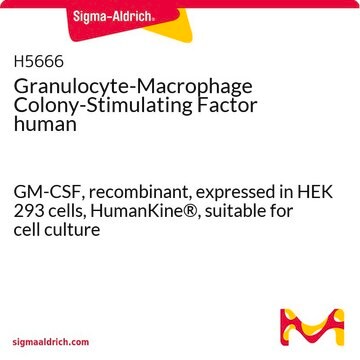 Granulozyten-Makrophagen-Kolonie-stimulierender Faktor human GM-CSF, recombinant, expressed in HEK 293 cells, HumanKine&#174;, suitable for cell culture