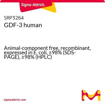 GDF-3 human Animal-component free, recombinant, expressed in E. coli, &#8805;98% (SDS-PAGE), &#8805;98% (HPLC)