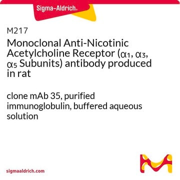 Monoclonal Anti-Nicotinic Acetylcholine Receptor (&#945;1, &#945;3, &#945;5 Subunits) antibody produced in rat clone mAb 35, purified immunoglobulin, buffered aqueous solution