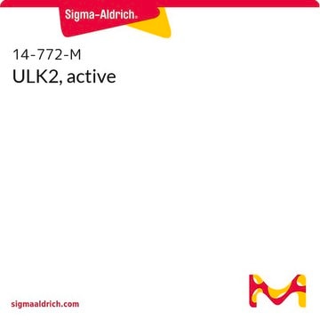 ULK2, active