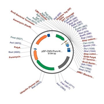 PSF-CMV-PURO-NH2-10HIS-EKT - N-TERMINAL 10HIS TAG MAMMALIAN PLASMID plasmid vector for molecular cloning