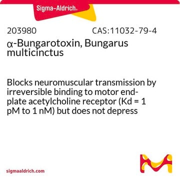 α-Bungarotoksyna, Bungarus multicinctus Blocks neuromuscular transmission by irreversible binding to motor end-plate acetylcholine receptor (Kd = 1 pM to 1 nM) but does not depress acetylcholine release from motor nerve endings.