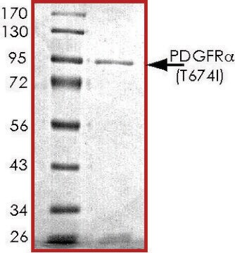 PDGFR-&#945; (T674I), active, GST tagged human PRECISIO&#174;, recombinant, expressed in baculovirus infected Sf9 cells, &#8805;70% (SDS-PAGE), buffered aqueous glycerol solution