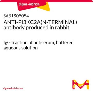 ANTI-PI3KC2A(N-TERMINAL) antibody produced in rabbit IgG fraction of antiserum, buffered aqueous solution